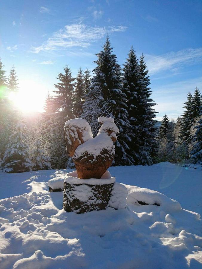 Готель Horska Bouda U Kokrhace Долні Мала Упа Екстер'єр фото